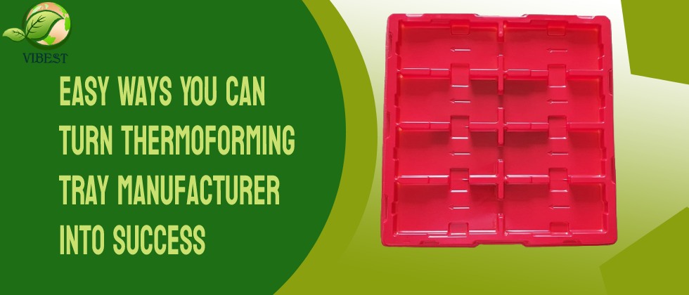 Easy Ways You Can Turn Thermoforming Tray Manufacturer into Success