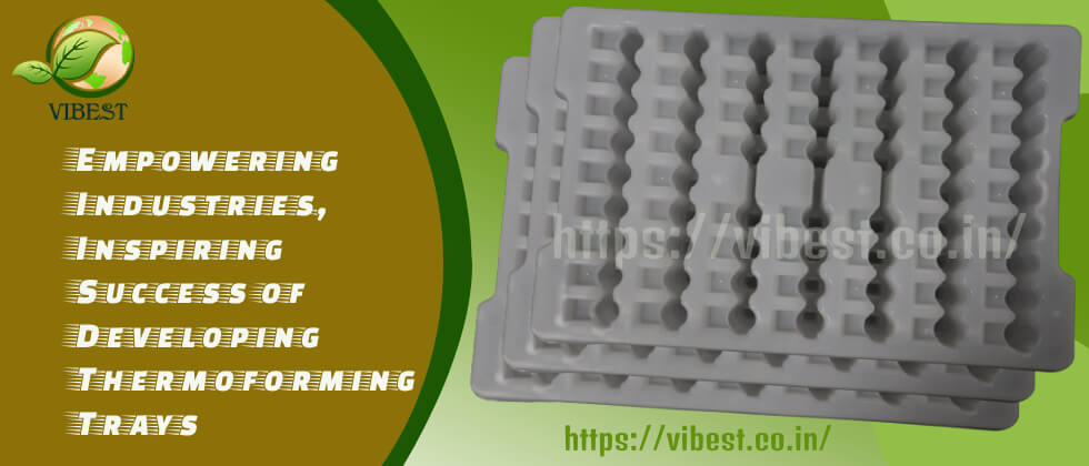 Vibest International Pvt Ltd: Empowering Industries, Inspiring Success by Manufacturing Thermoforming Trays.