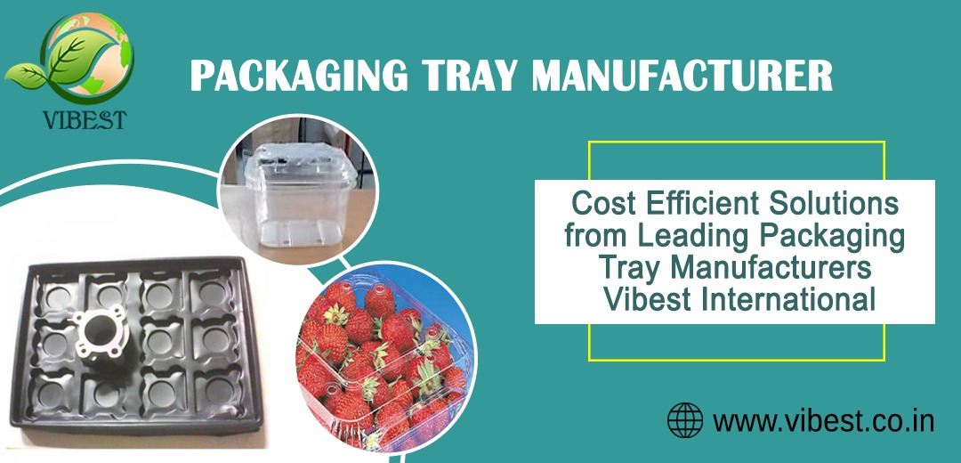 Cost Efficient Solutions from Leading Packaging Tray Manufacturers: Vibest International