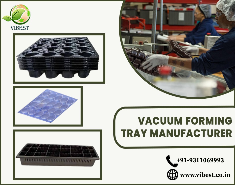 Innovative Solutions: Unleashing the Potential of Vacuum Forming Tray Manufacturer