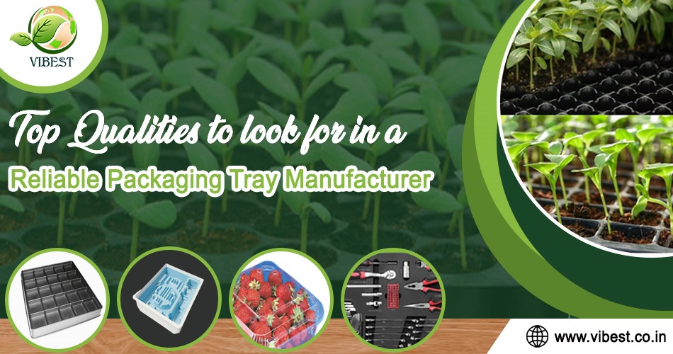 Top Qualities to Look for in a Reliable Packaging Tray Manufacturer