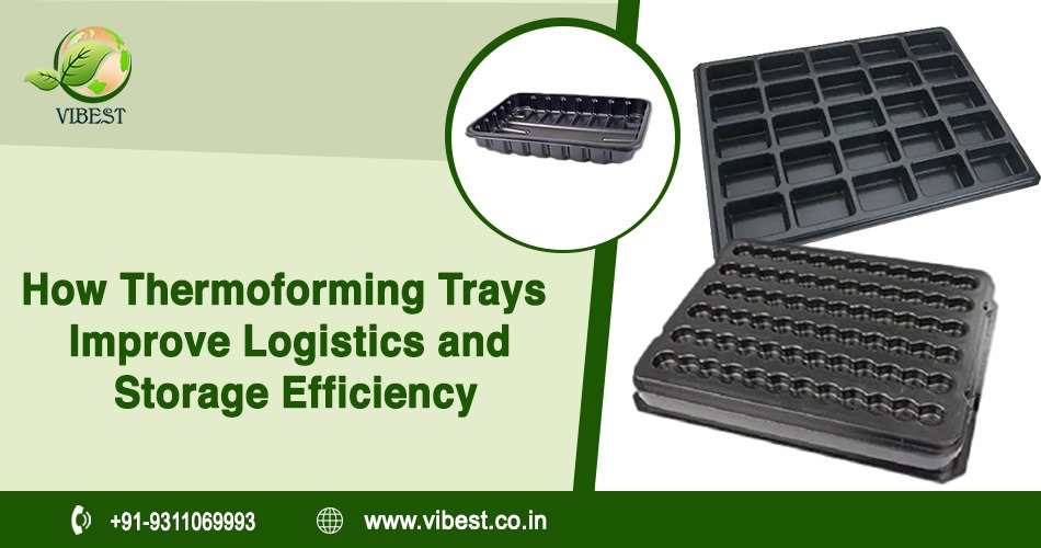 How Thermoforming Trays Improve Logistics and Storage Efficiency