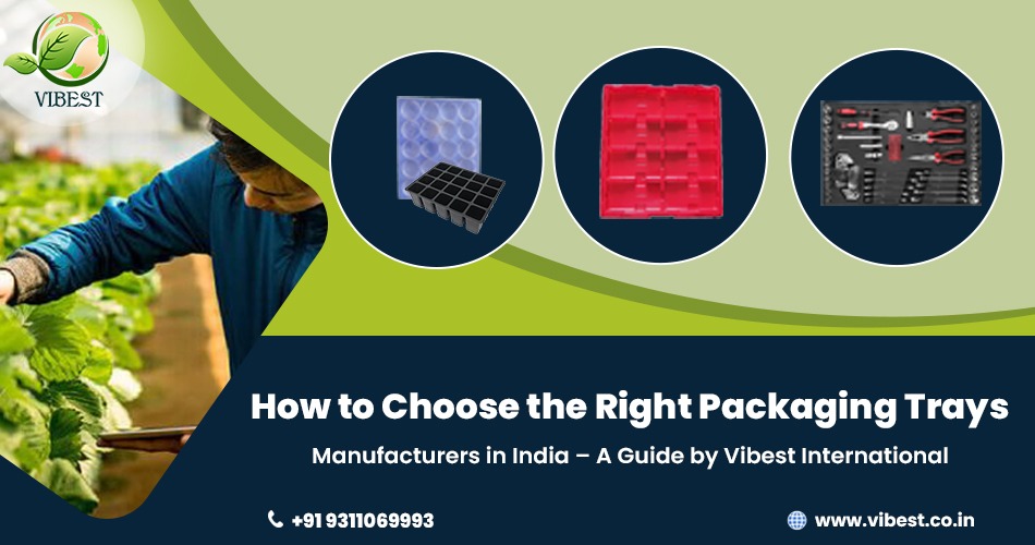How to Choose the Right Packaging Trays Manufacturers in India – A Guide by Vibest International