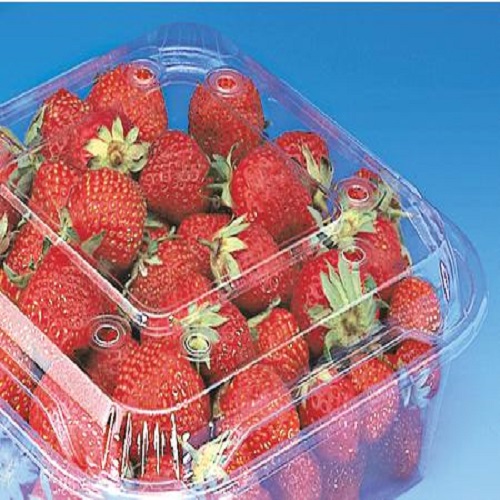 Strawberry Packaging Tray